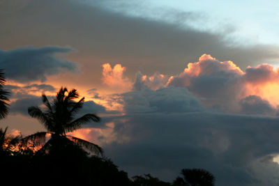 Low angle view of silhouette trees against sky