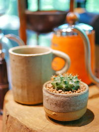 Close-up of potted plant on table