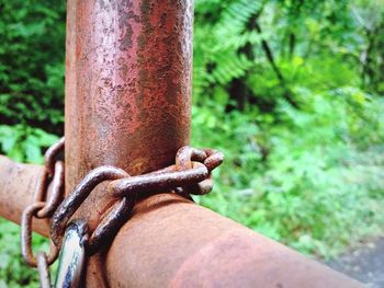 Close-up of rusty chain