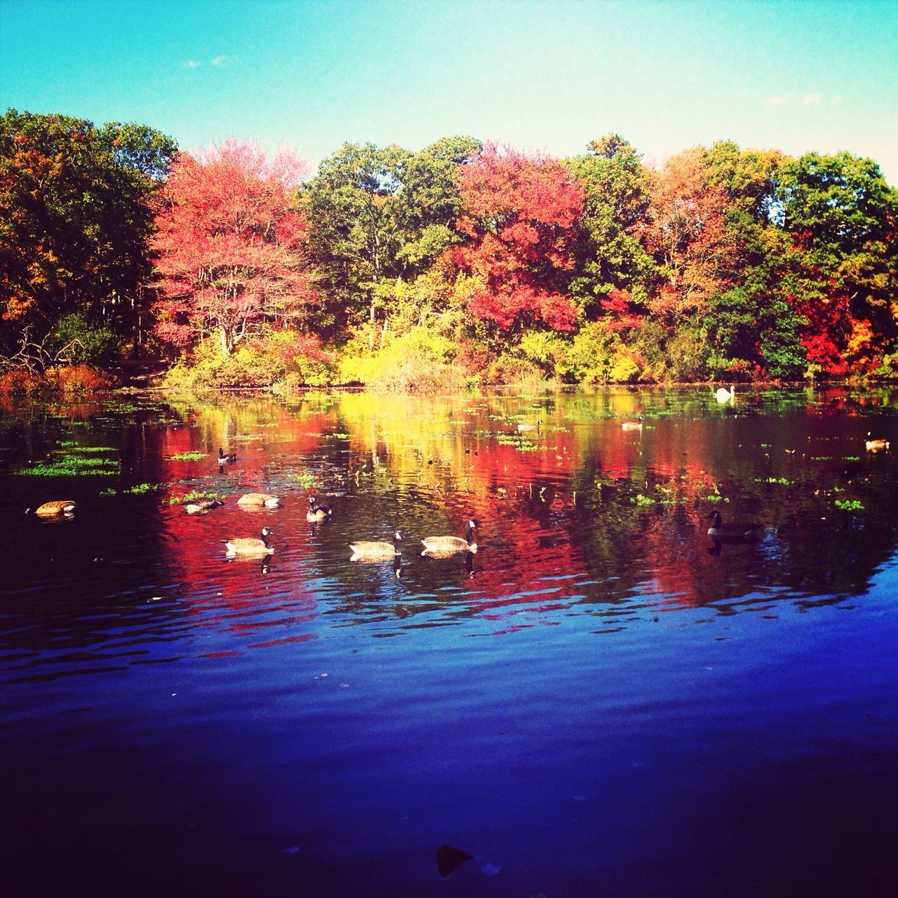 SCENIC VIEW OF LAKE