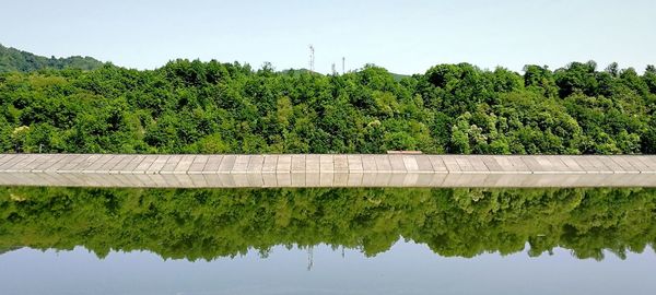 Reflection of trees in river against sky