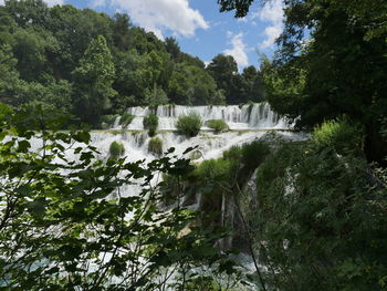 Scenic view of waterfall in forest