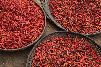 High angle view of dried red chili peppers in container