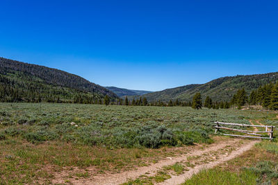 Scenic view of field against clear blue sky