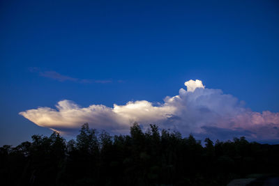 Low angle view of silhouette trees against blue sky