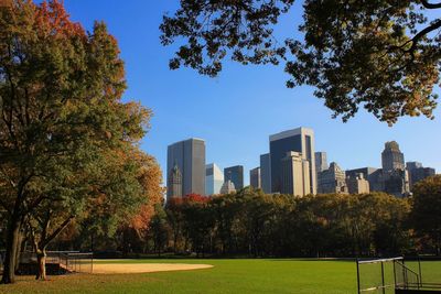 Trees and buildings in park against clear sky