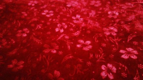 Full frame shot of pink flowers