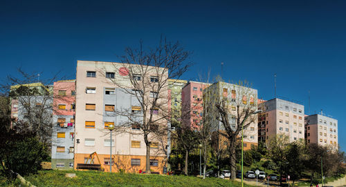 Trees in city against clear sky