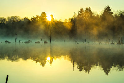 Silhouette trees by lake against sky during sunset