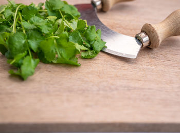 Close-up of chopped vegetables on cutting board