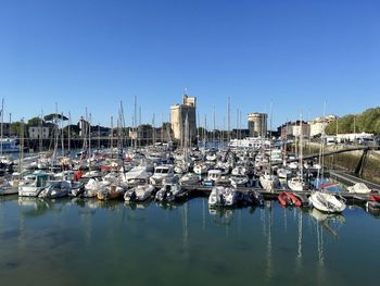 Sailboats moored in harbor