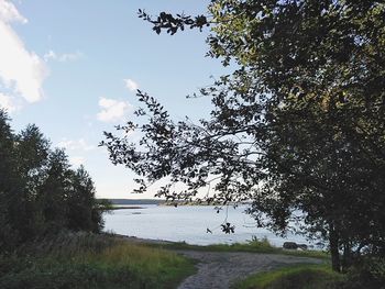 Scenic view of river against sky