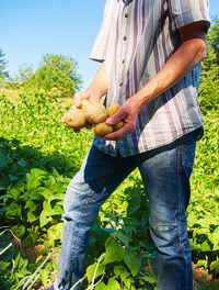 Midsection of woman holding corn standing by plants