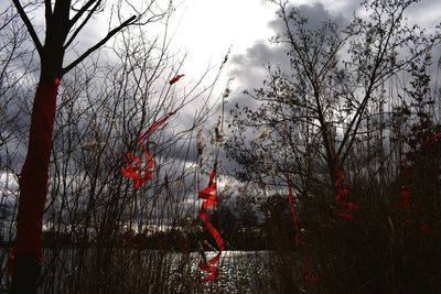 Bare trees hanging against sky