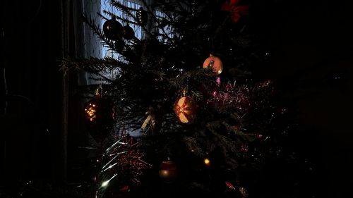 Illuminated christmas tree