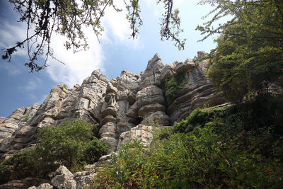 Low angle view of rock formation amidst trees against sky