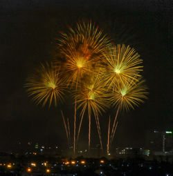 Firework display at night