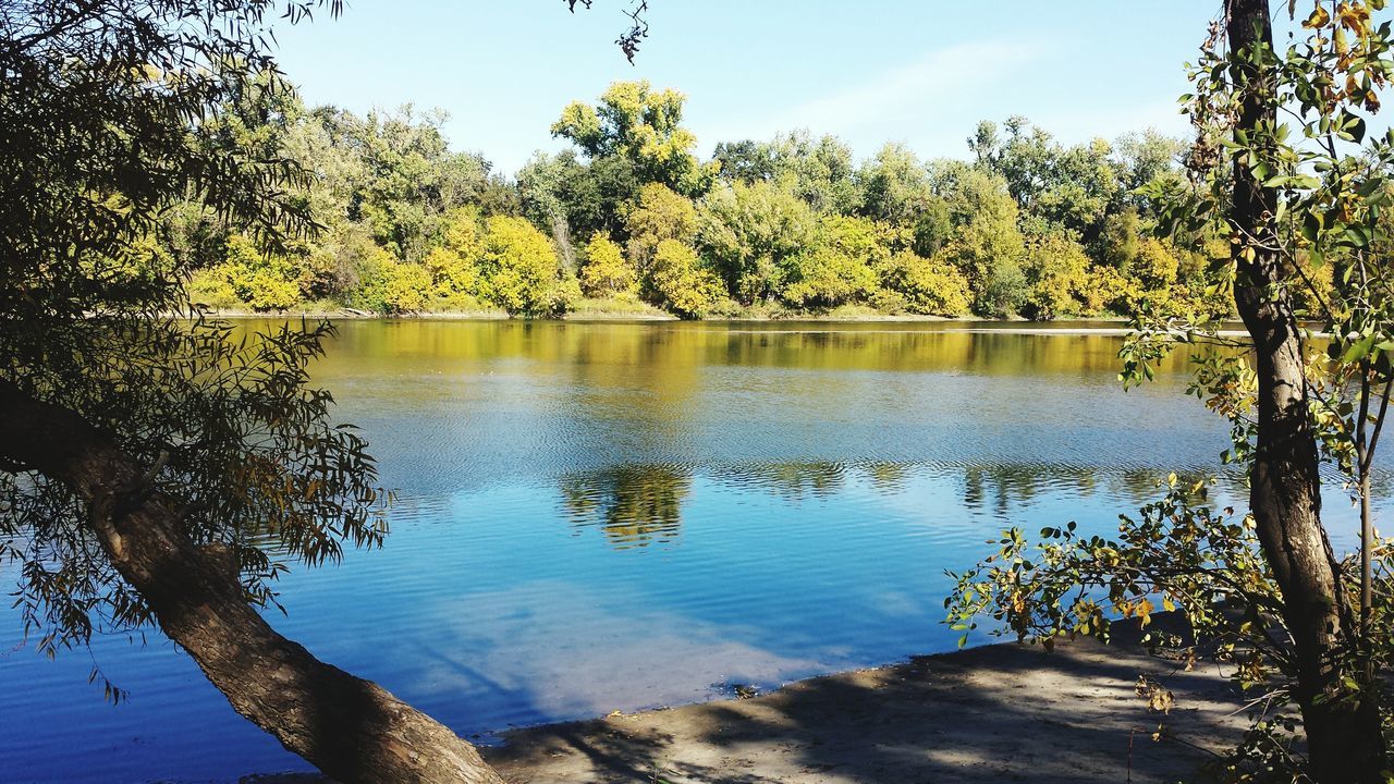 American River Trail