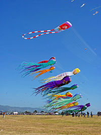 kite sports