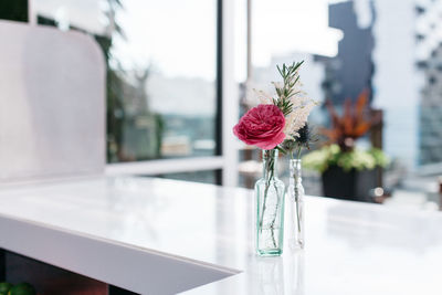 Peony flower in glass vase on table at home