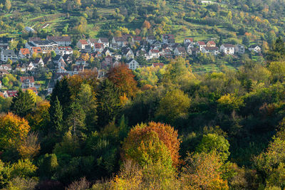 High angle view of trees and plants in city