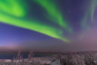 Scenic view of dramatic sky at night with northern lights 