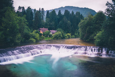 Scenic view of waterfall in forest