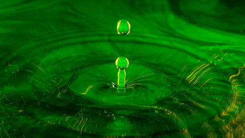 Full frame shot of raindrops on leaf