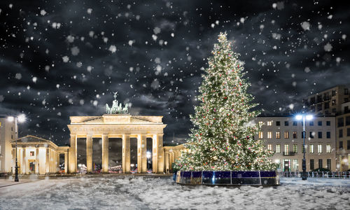 Illuminated christmas tree at night