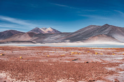 Scenic view of desert against sky