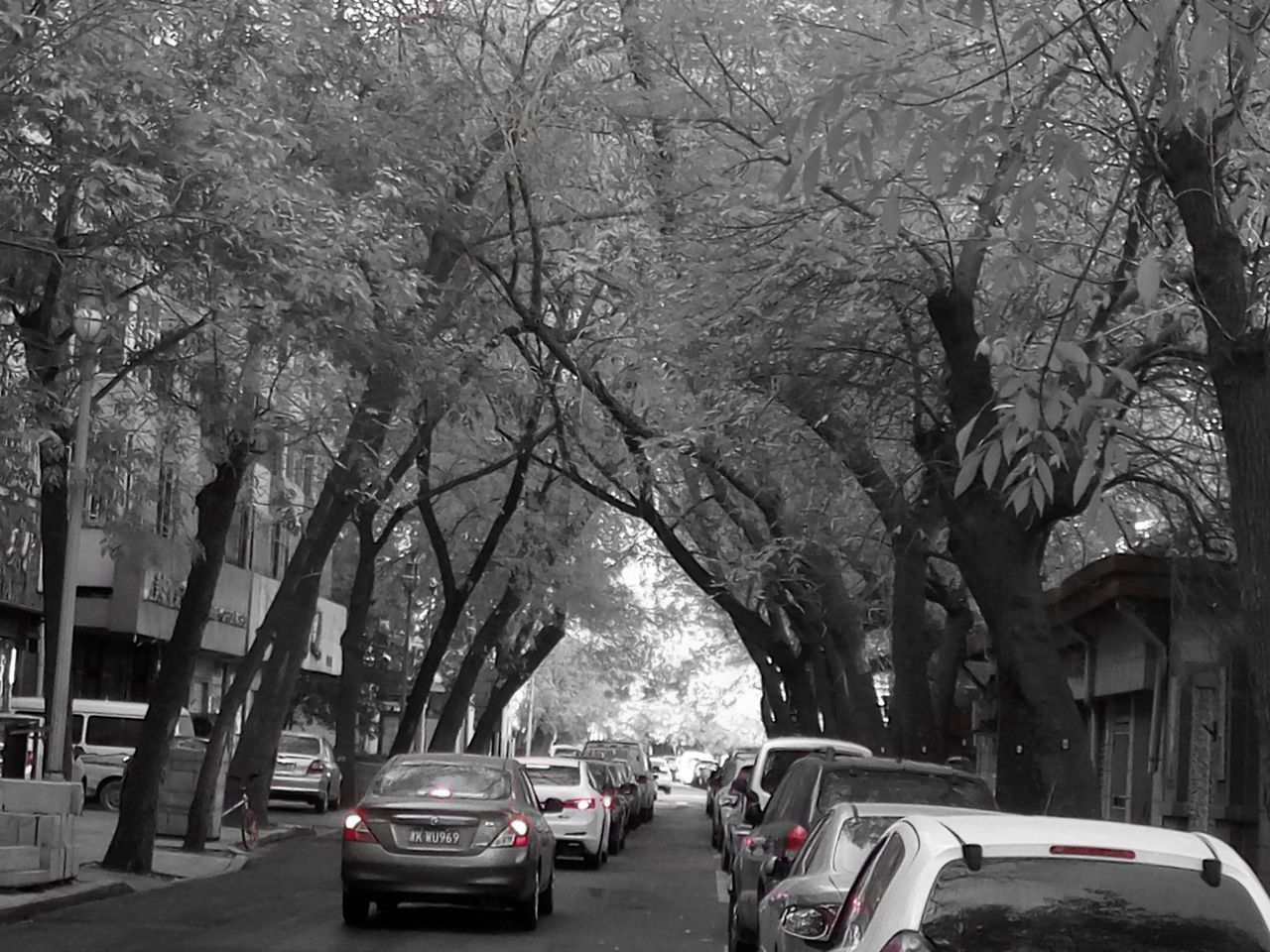 CARS ON ROAD BY TREES AGAINST SKY