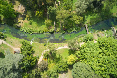 Aerial view of the watercourse that crosses the gardens of ninfa 