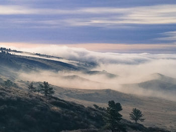 Scenic shot of misty landscape