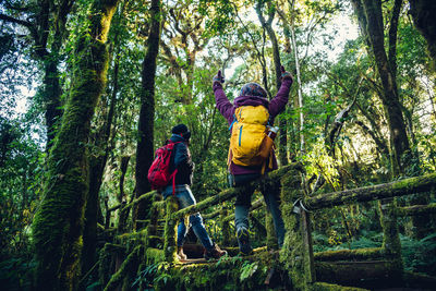 Rear view of men in forest