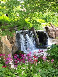 View of waterfall along plants