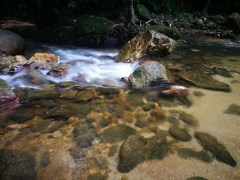 View of waterfall in forest
