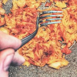 Close-up of hand holding meat