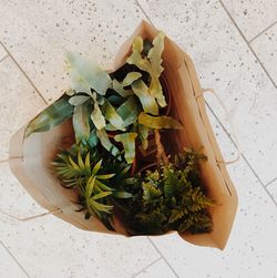 High angle view of potted plant on table