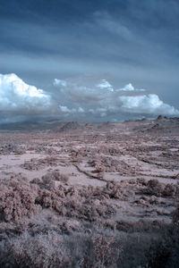 Scenic view of dramatic landscape against sky