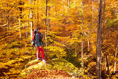 Man standing by tree in forest during autumn