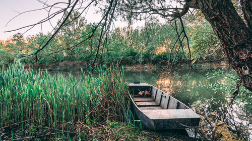 Scenic view of lake in forest