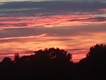 Silhouette of trees against dramatic sky