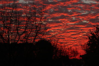 Silhouette trees against sky at sunset