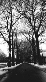 Empty road along trees