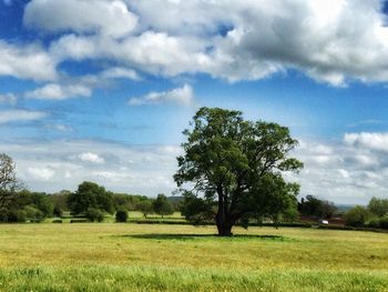 Scenic view of grassy field against cloudy sky