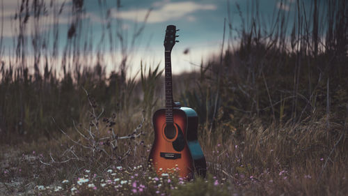 Close-up of violin on field