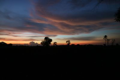 Silhouette trees on field against sky during sunset