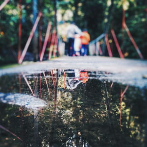 Reflection of trees in water