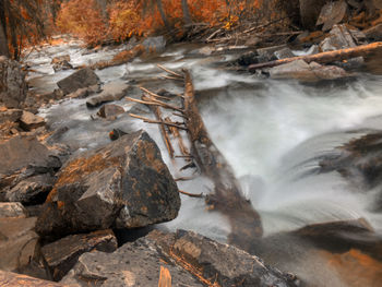 Stream flowing through rocks in forest