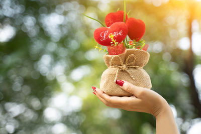 Close-up of hand holding red berries